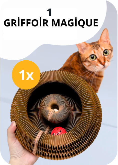 Griffoir magique interactif pour chat d'intérieur