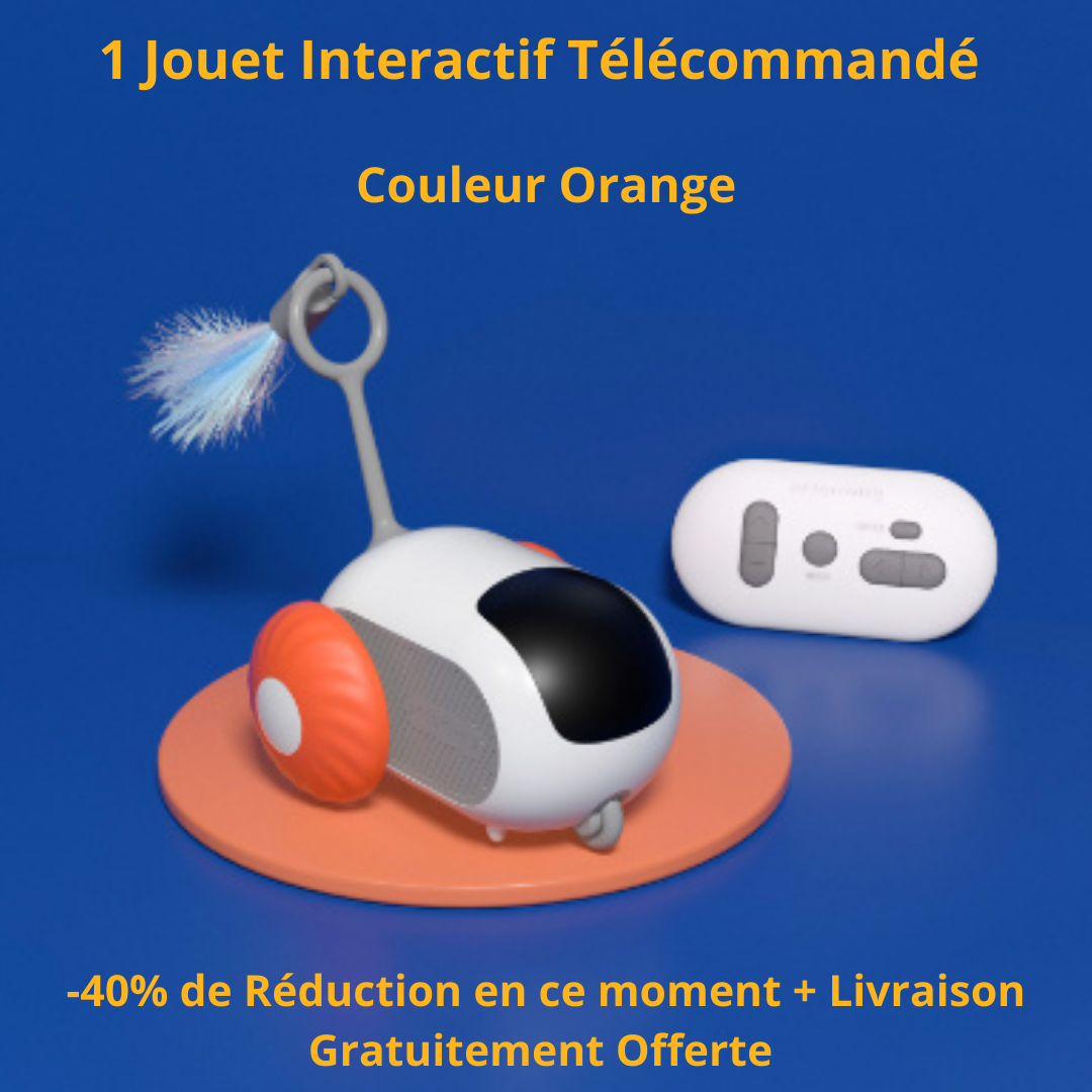 Jouet interactif télécommandé pour chat