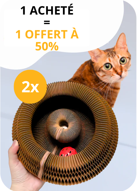 Griffoir magique interactif pour chat d'intérieur