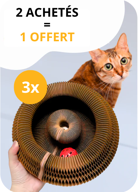 Griffoir magique interactif pour chat d'intérieur