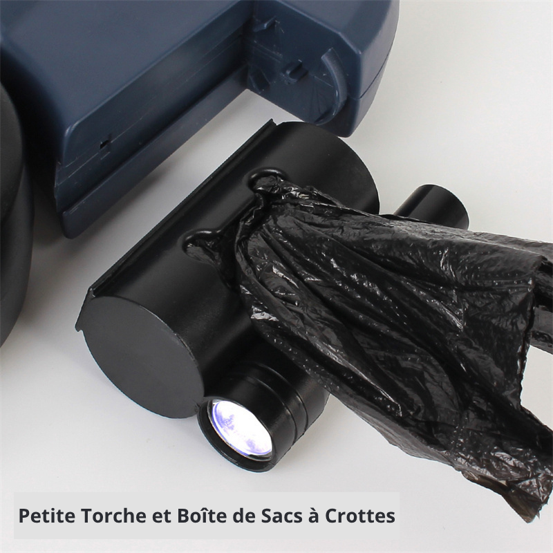 Laisse Double pour Chien avec Rotation 360° et Lampe d'éclairage