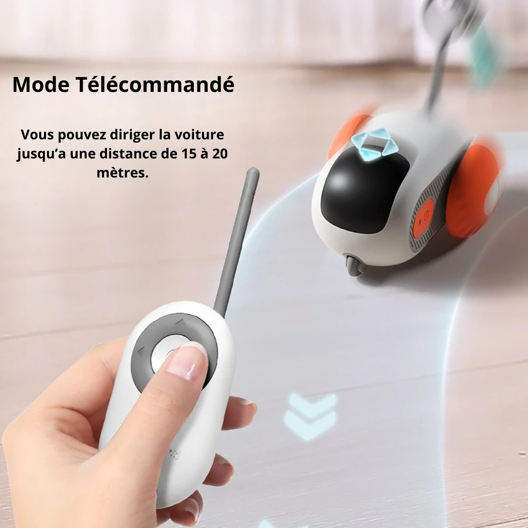 Jouet interactif télécommandé pour chat