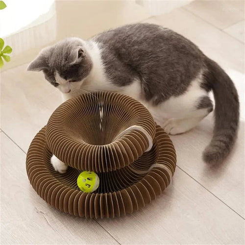 Griffoir magique interactif pour chat d'intérieur