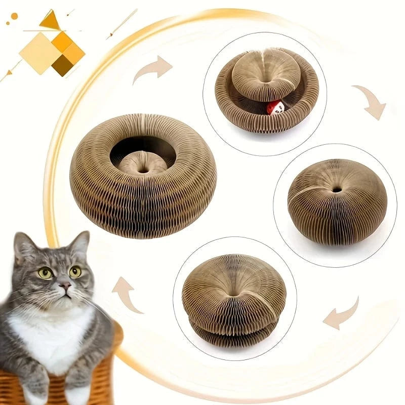 Griffoir magique interactif pour chat d'intérieur