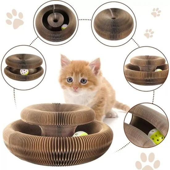 Griffoir magique interactif pour chat d'intérieur