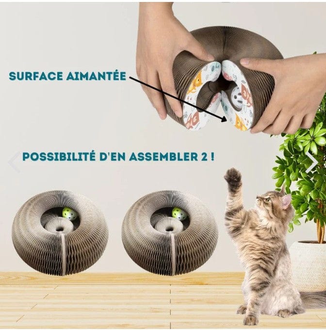 Griffoir magique interactif pour chat d'intérieur