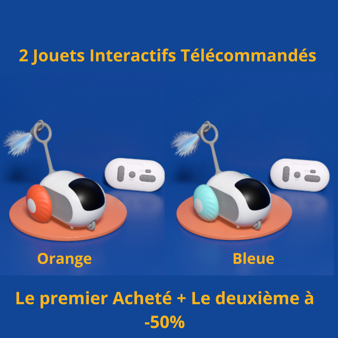 Jouet interactif télécommandé pour chat