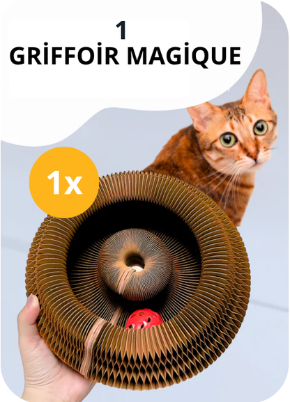 Griffoir magique interactif pour chat d'intérieur