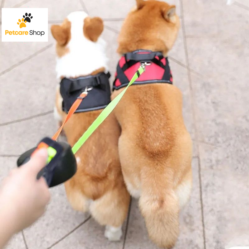 Laisse Double pour Chien avec Rotation 360° et Lampe d'éclairage
