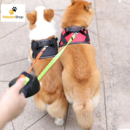 Laisse Double pour Chien avec Rotation 360° et Lampe d'éclairage