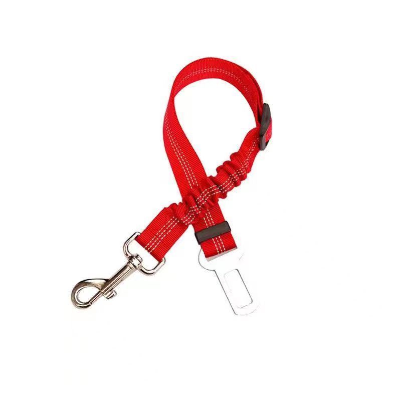 Laisse de sécurité pour Chien