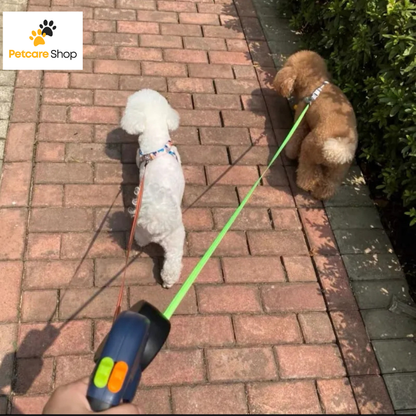 Laisse Double pour Chien avec Rotation 360° et Lampe d'éclairage