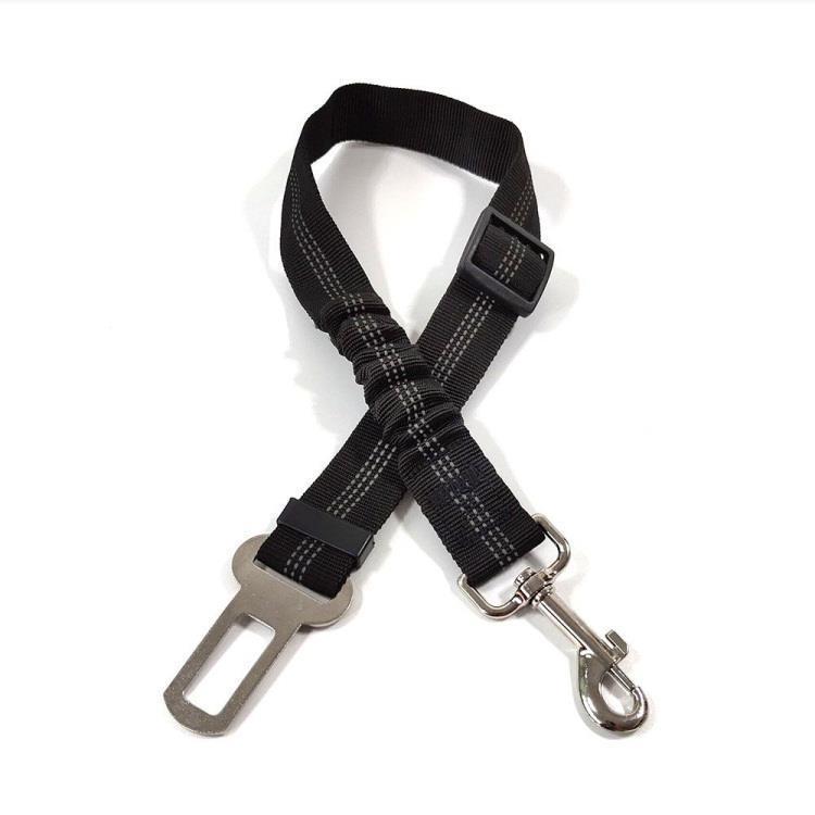 Laisse de sécurité pour Chien
