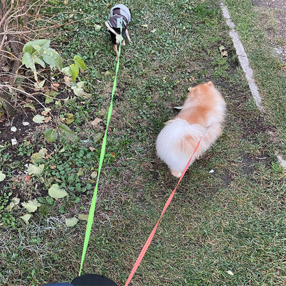Laisse Double pour Chien avec Rotation 360° et Lampe d'éclairage