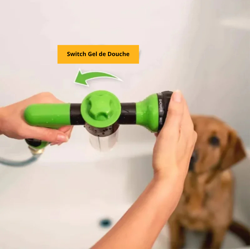 Pistolet Lave Chien