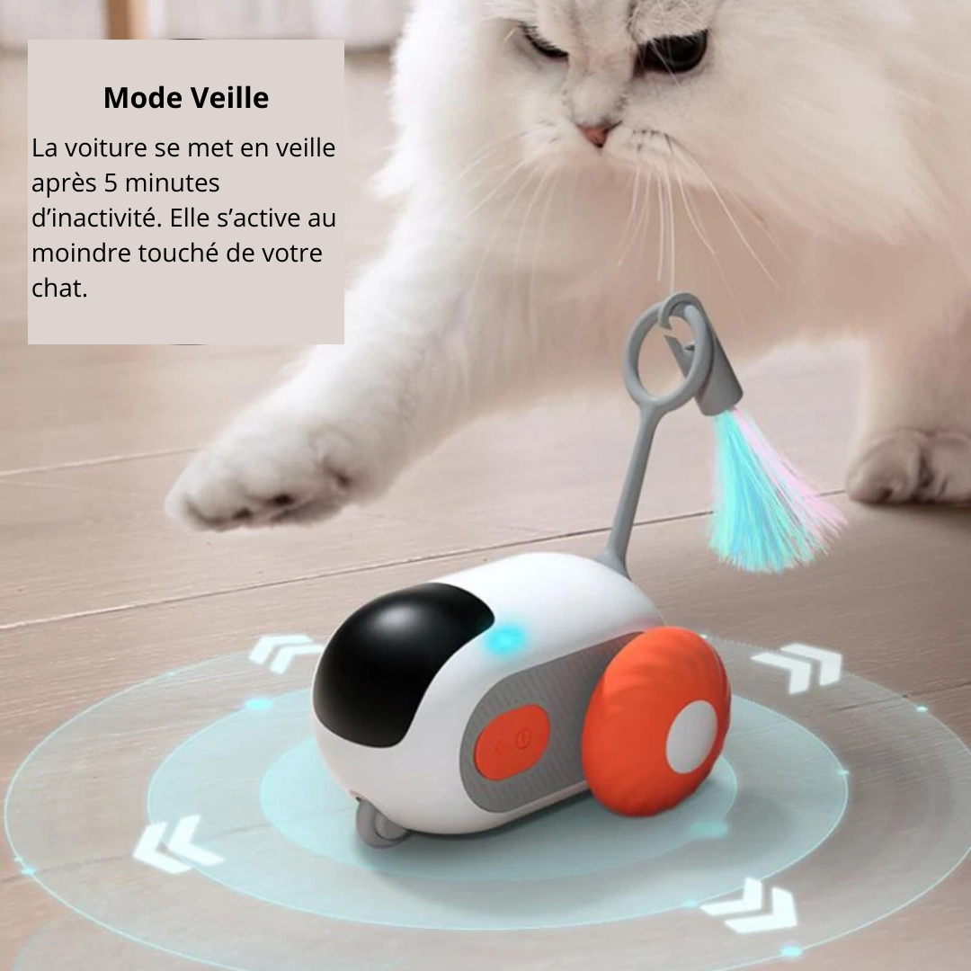 Jouet interactif télécommandé pour chat