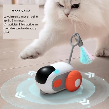 Jouet interactif télécommandé pour chat
