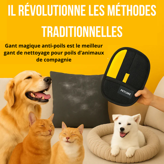 Gant Magique anti-poils