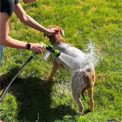 Pistolet Lave Chien