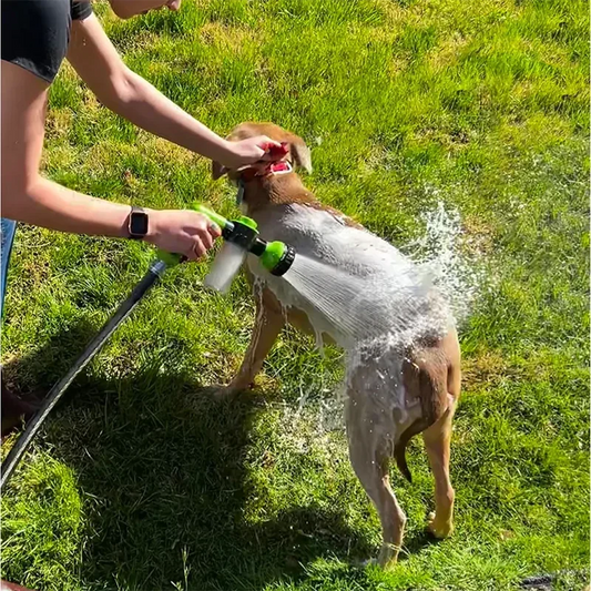 Pistolet Lave Chien