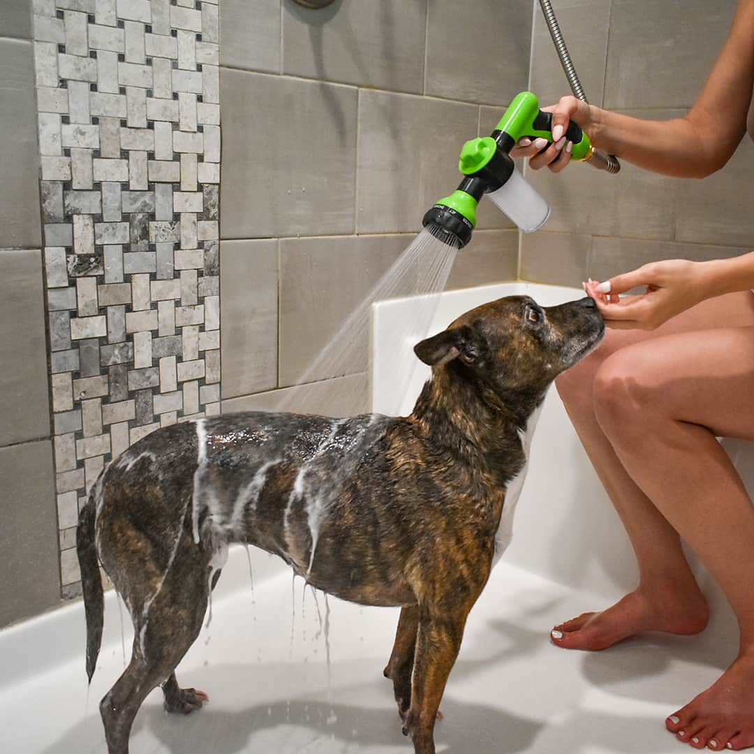 Pistolet Lave Chien