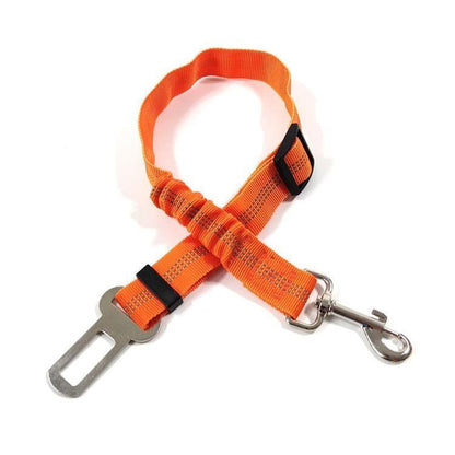 Laisse de sécurité pour Chien