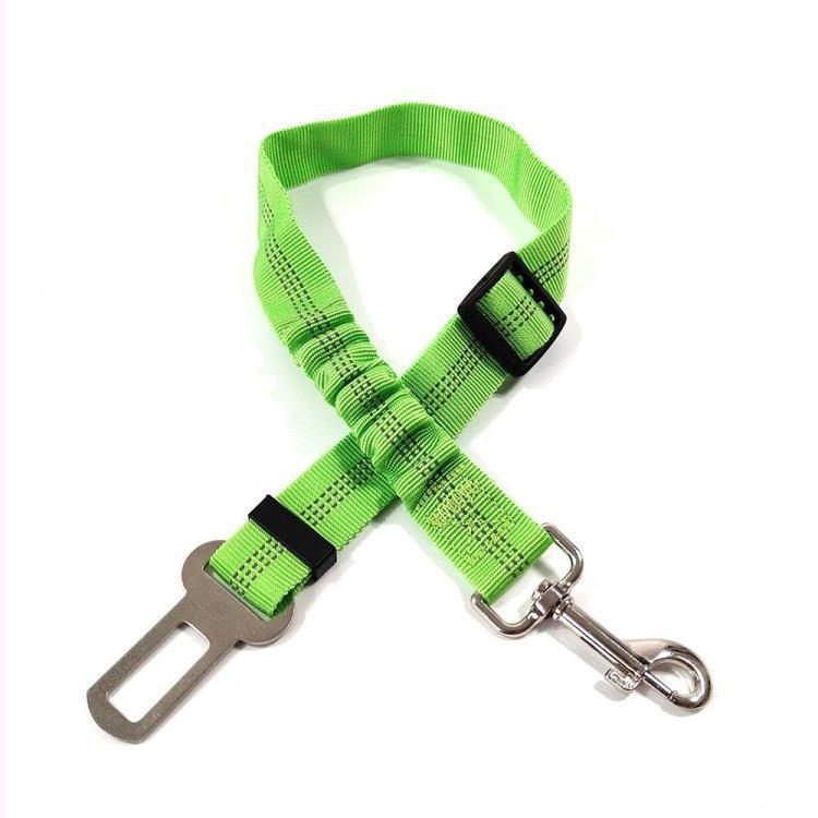 Laisse de sécurité pour Chien
